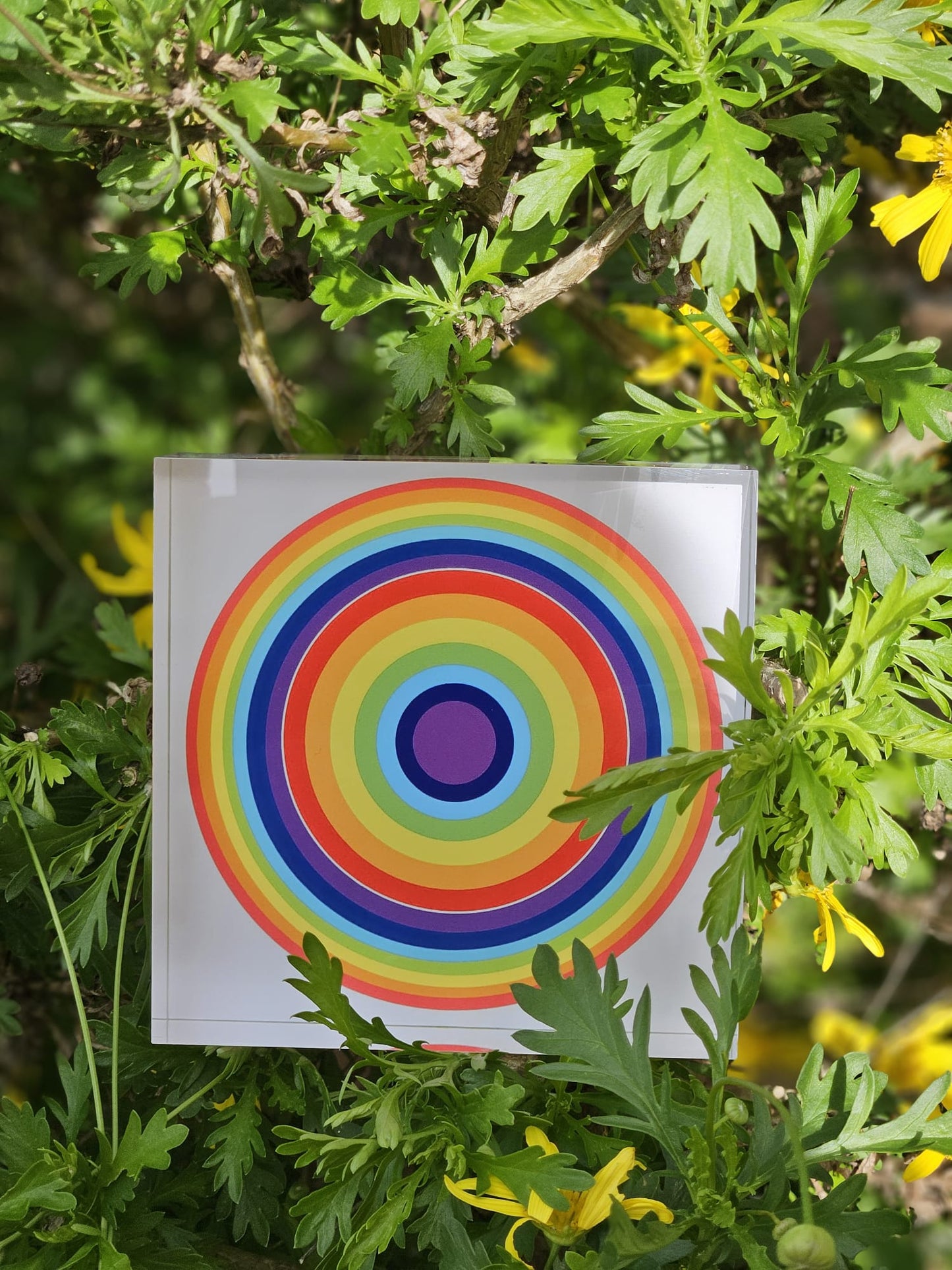 ENERGIEBOOSTER PURE PRANA - COLOURFUL LIFE