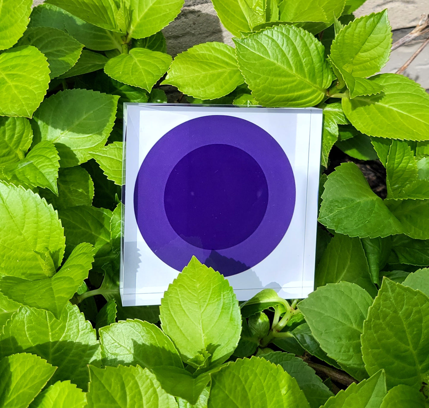 ENERGIEBOOSTER PURE PRANA